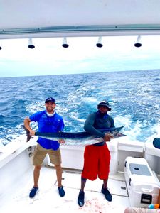 Chasing trophy fish all day!